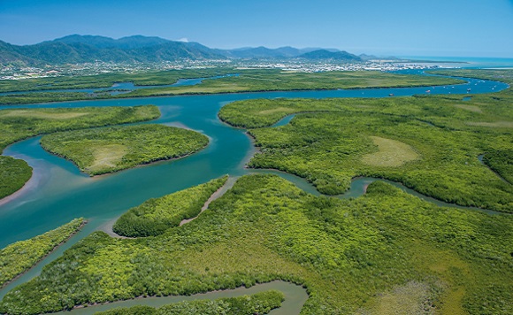 greening trinity inlet