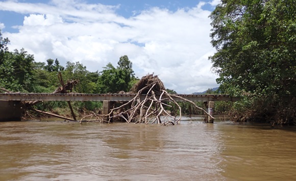 flood zone