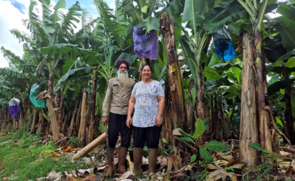 banana farmers