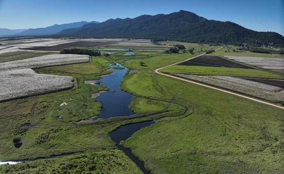 tully wetland